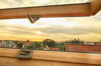 rated Bridge Of Brown roof window companies