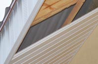 rated Bridge Of Brown soffit repair companies
